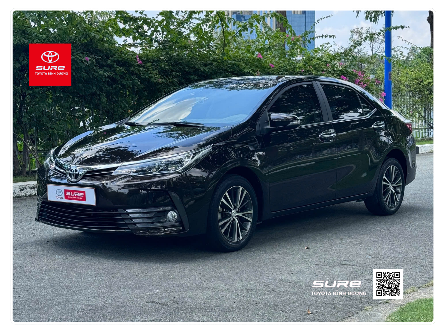 TOYOTA COROLLA ALTIS 1.8G 2019