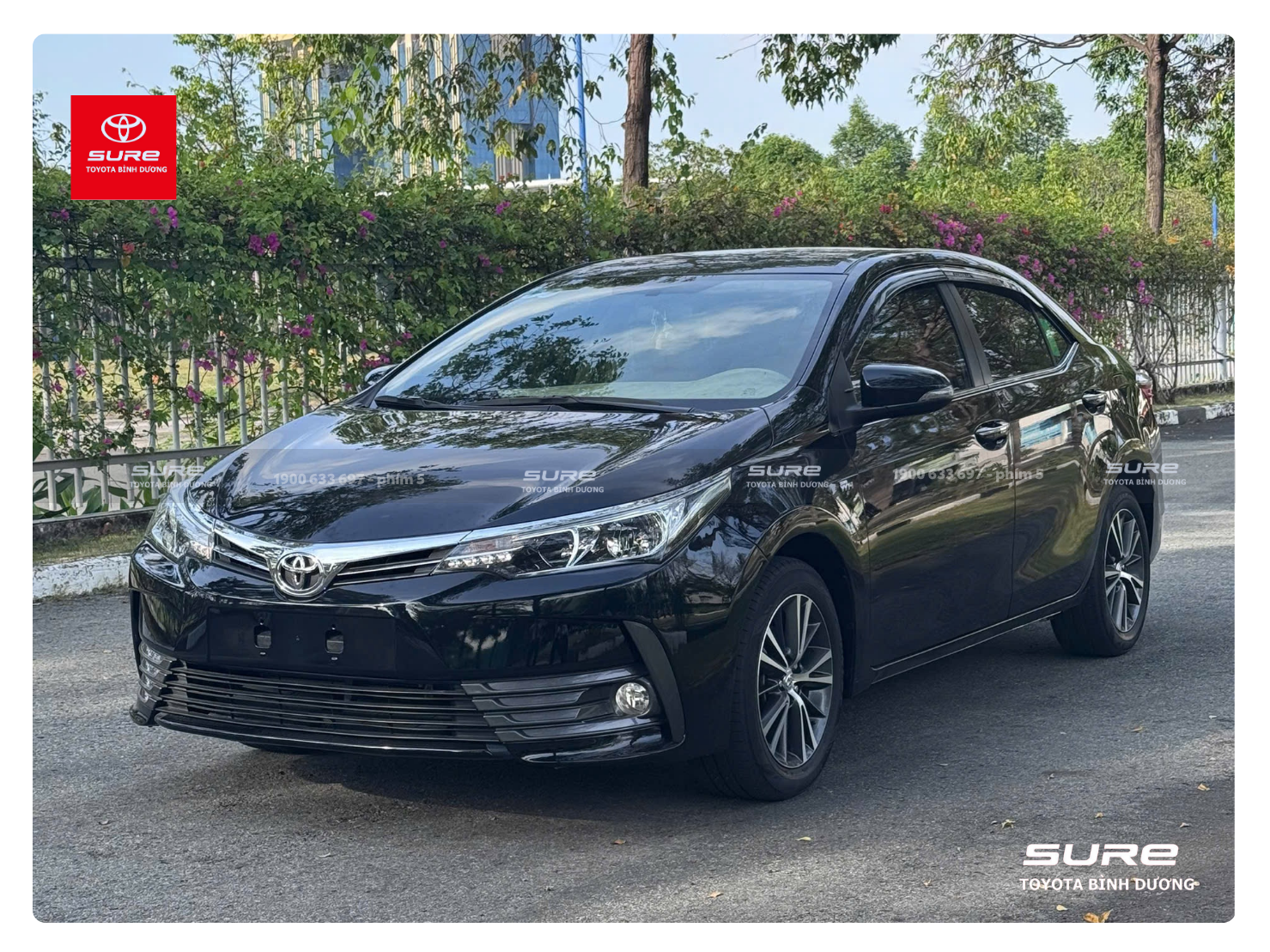 product-pic