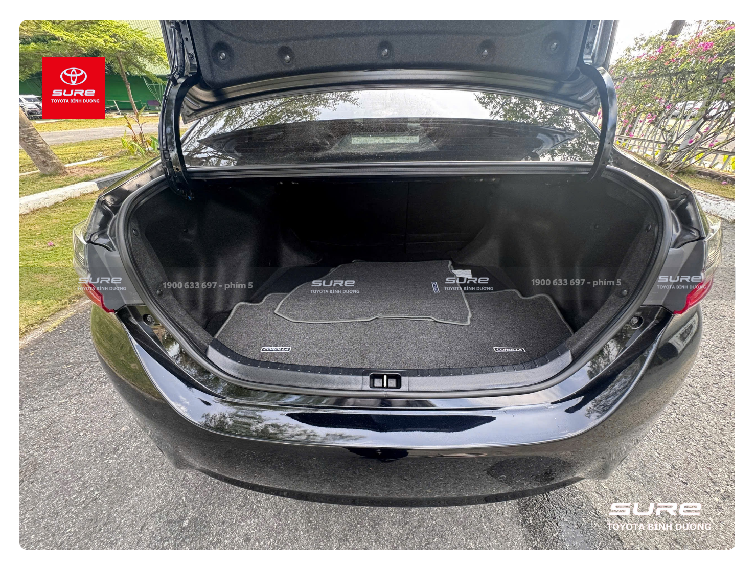 product-pic