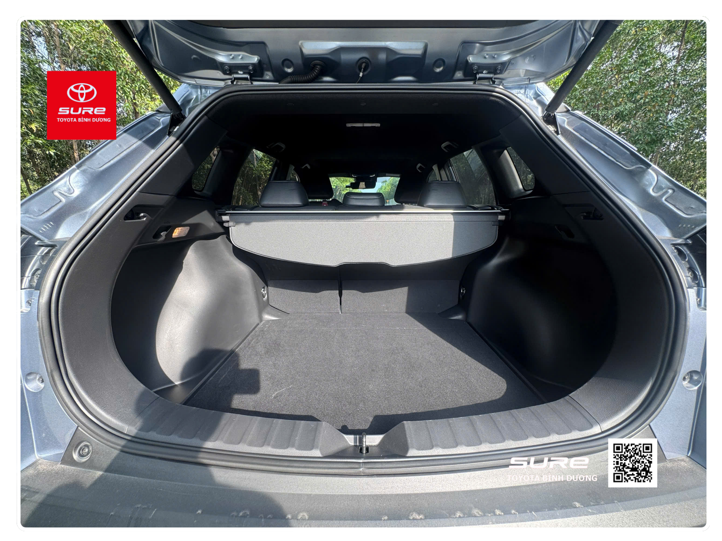 product-pic