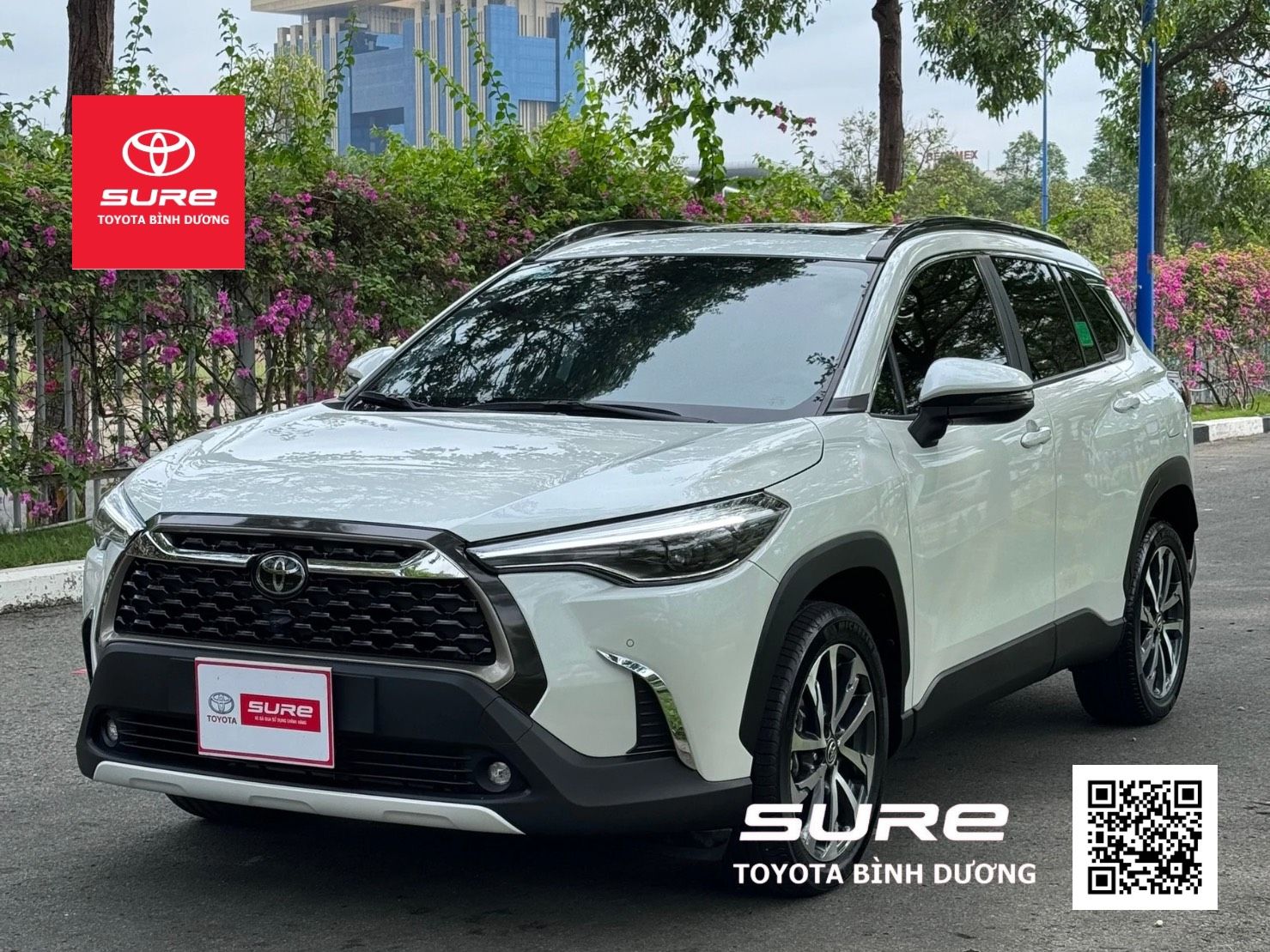 Toyota Bình Dương
